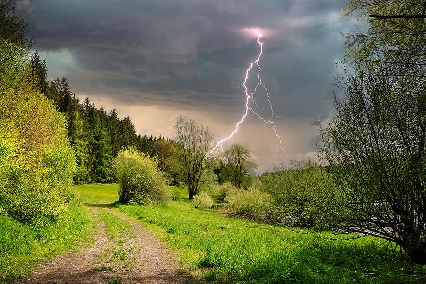 Thunderstorm, Trees, Path, Trail, Grass, Flash, Clouds, Storm, Weather, Nature, Thunder