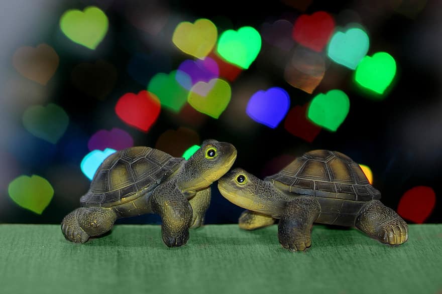 tartarugas, coração, bokeh, Decorações, luzes, feriados, inverno