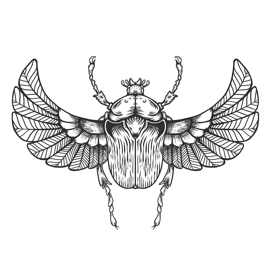 bille, insekt, vinger, flyvningen, jorden, illustration, vektor, tatovering, dekoration, isolerede, sort og hvid