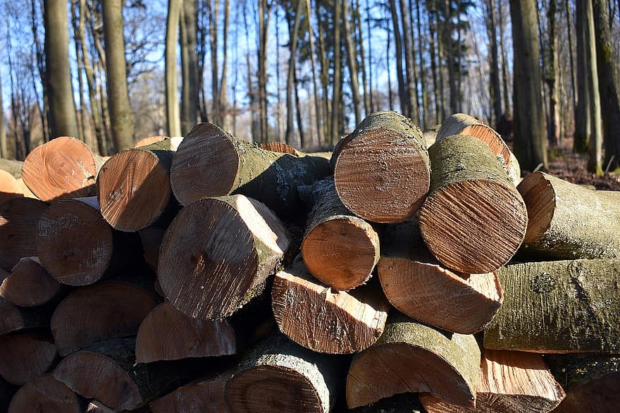 kayu, log, batang, kayu bakar, Potongan Kayu, tumpukan kayu, kehutanan, tekstur, penggundulan hutan, hutan, tumpukan