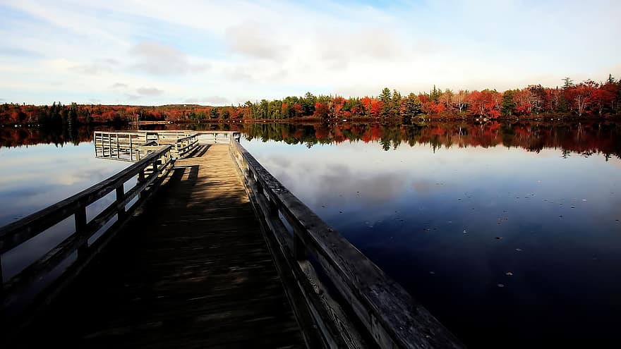 湖、桟橋、秋、自然、ドック、水、反射、木、風景、湖畔、木材