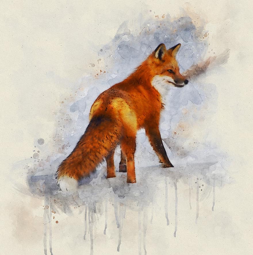 Fox, Lpart, Snow, Art, Painting, Digital, Water, Watercolor, Design, Nature, Creativity