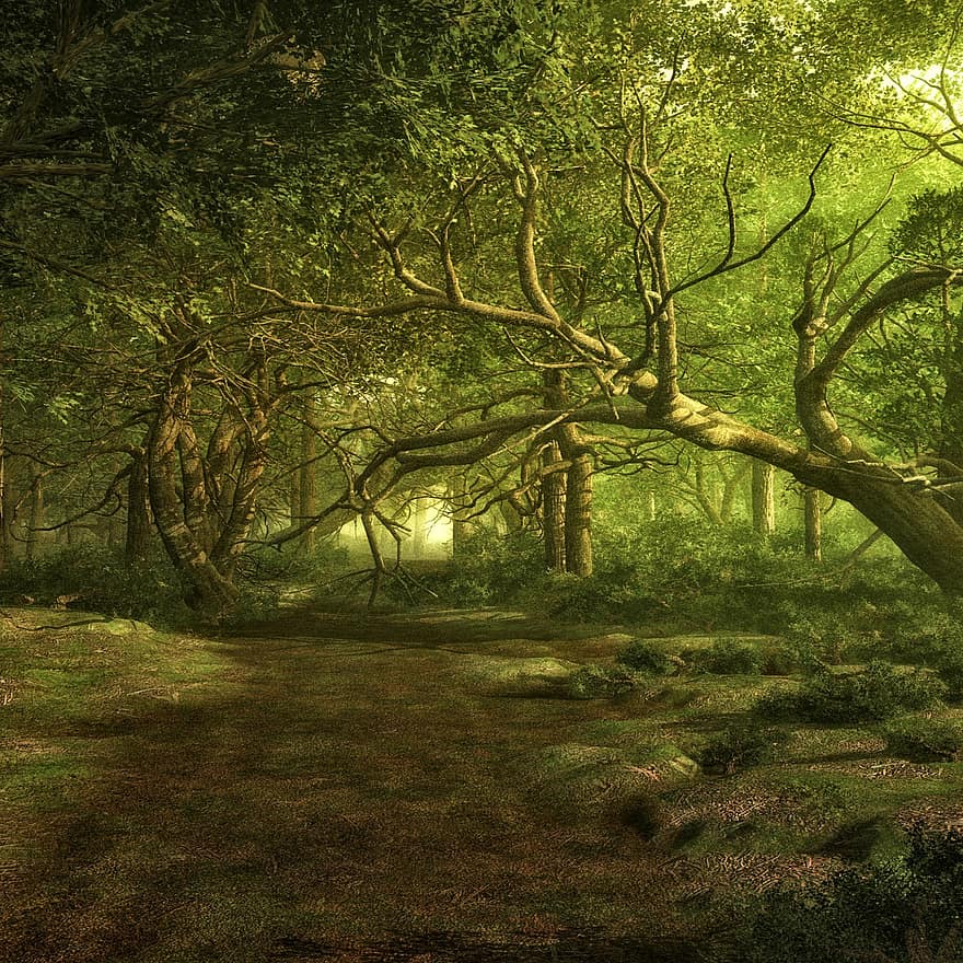 Wald, Bäume, Landschaft, Märchenwald, Fantasie, digitale Kunst, Weg