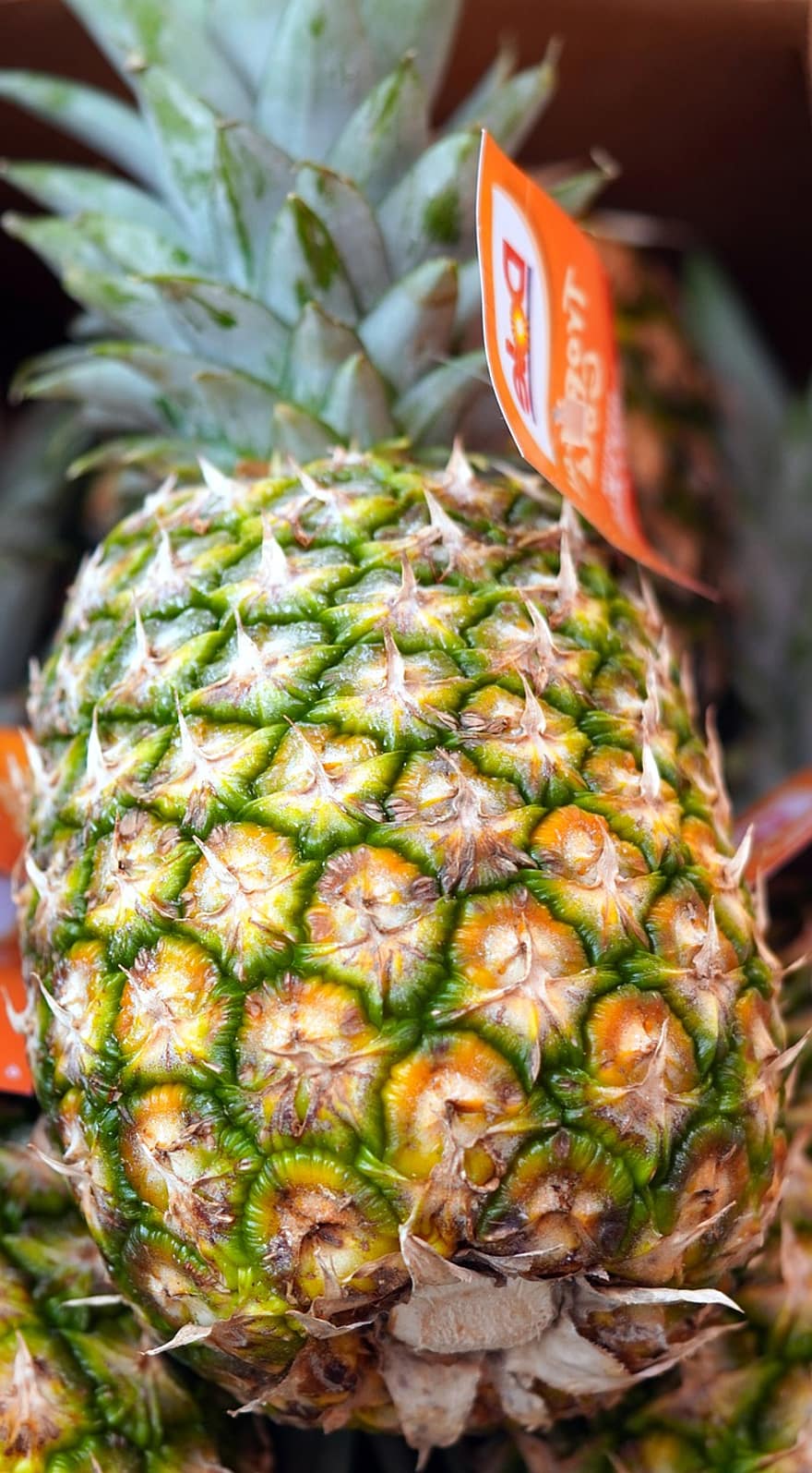 Pineapple, Fruit, Food, Produce, Tropical, Organic, Healthy, Vitamins, freshness, healthy eating, close-up