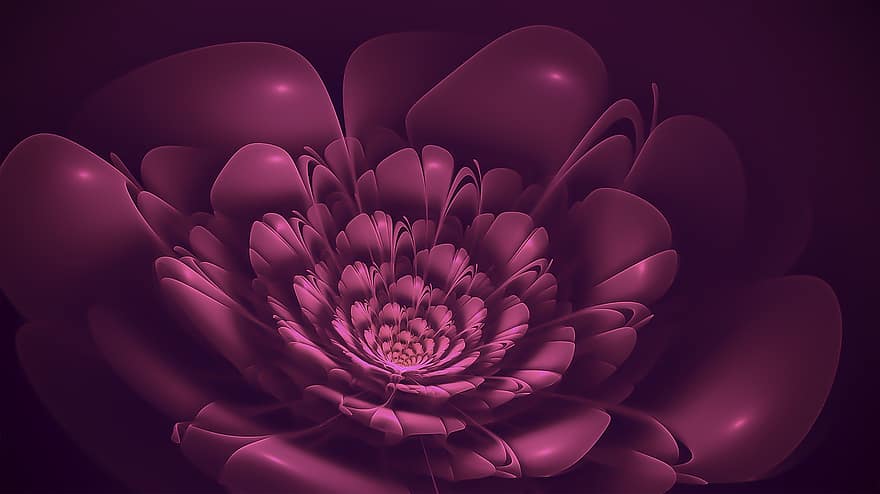 fractal, flor, floración, púrpura, rosado, fantasía