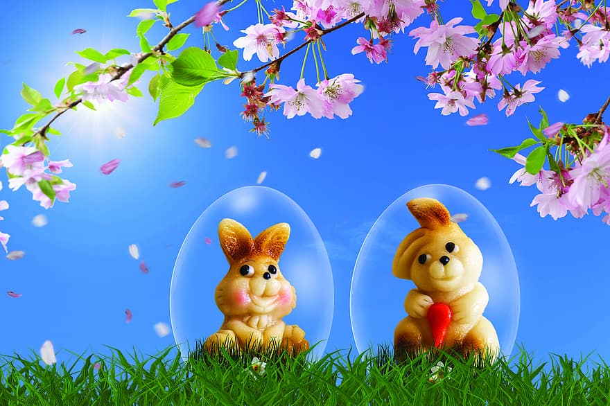 Easter, Easter Bunnies, Background, Spring, grass, springtime, cute, rabbit, meadow, flower, season