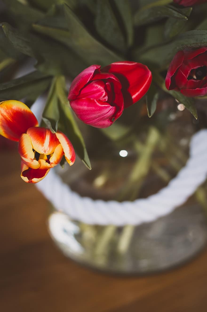 květiny, tulipány, květy, zblízka, kytice, květinová váza, květ, tulipán, rostlina, váza, detail