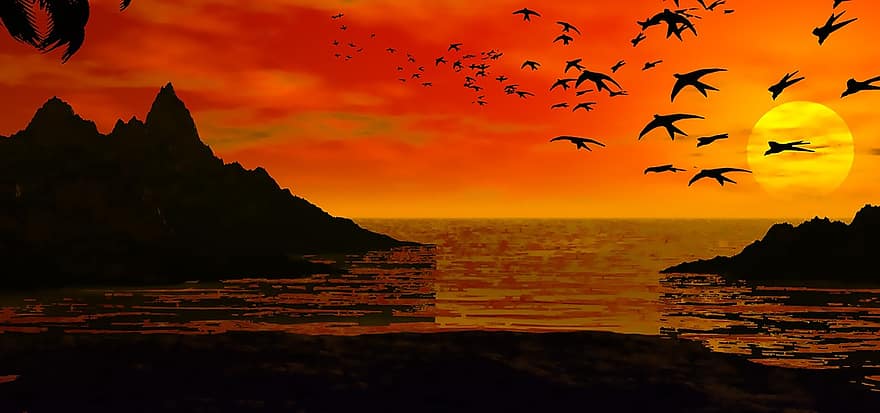 Sunset, Birds
