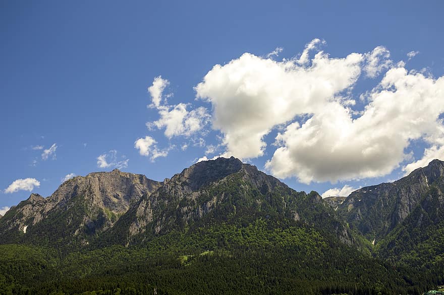 montanhas, floresta, panorama, natureza, cenário, cimeira, pico, céu, nuvens, Montanhas carpathian