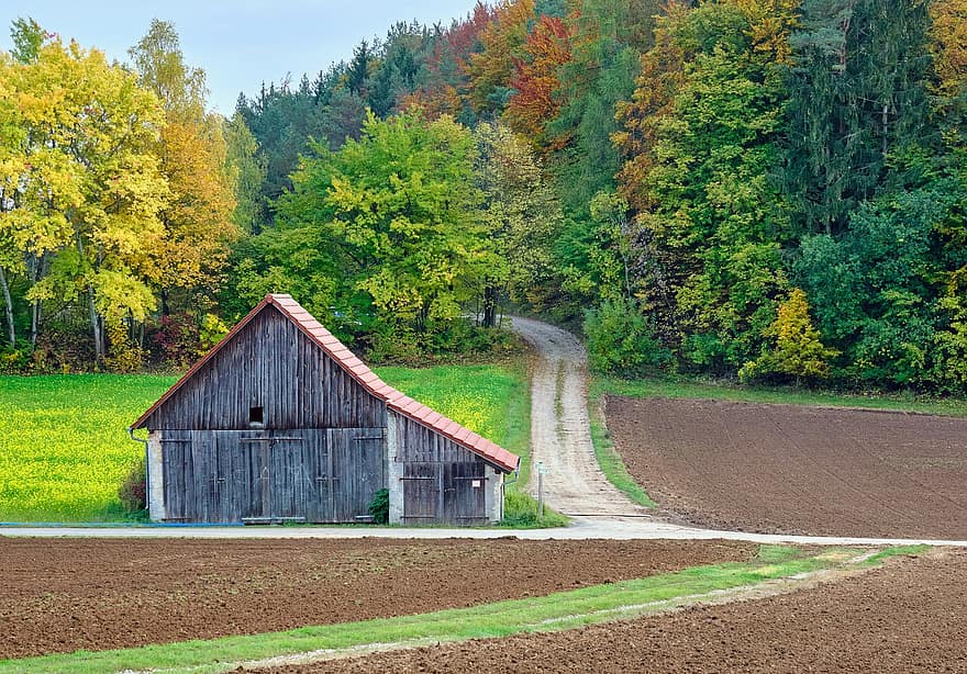 caminho, arvores, cabana, faixa, trilha, longe, casa de fazenda, outono, folhas no outono, folhagem de outono, cores do outono