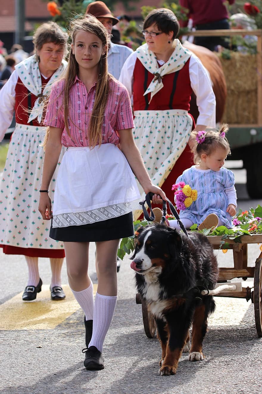 фермеры, люди, парад, костюм, собака, традиционный, типичный, Boechet, désalpe