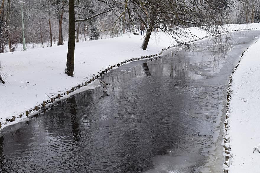 folyó, Suwałki, természet, tájkép, téli, hó, fagy, kacsa