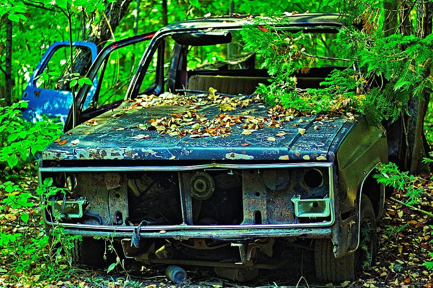orman, araba, terk edilmiş araba