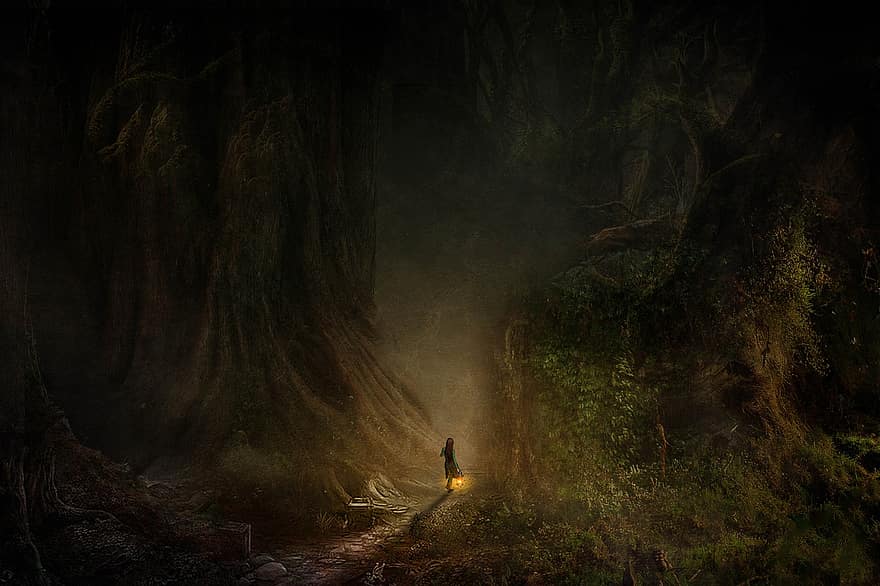 fantasi, skog, flicka, mystisk, saga, män, en person, dimma, träd, mörk, natt