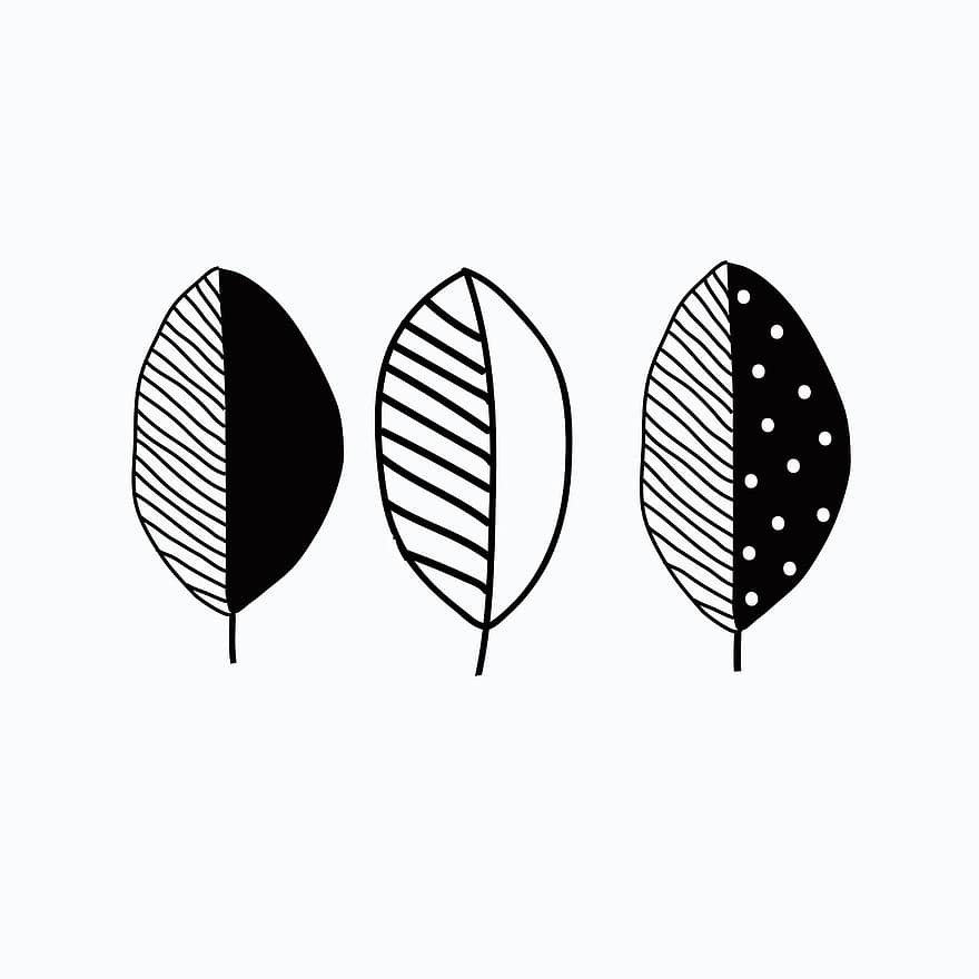 이파리, 낙서, 라인 아트, 식물, 스케치, 손으로 그린, 선, 그어진, 왼쪽