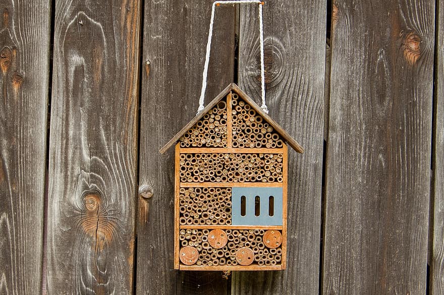 Nature, Bees, Bee Hotel, Wood, Insects, Insect Hotel