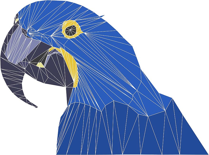 παπαγάλος, πουλί, μπλε, geodesic, κίτρινος, μαύρος, λεβάντα, μυρτιά, πρότυπο, μοντέρνο, φτερά