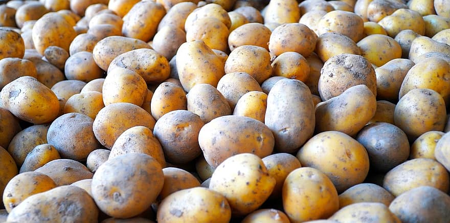 Potatoes, Vegetable, Harvest, Produce, Raw, Root Vegetable, Tuber, Healthy, Food