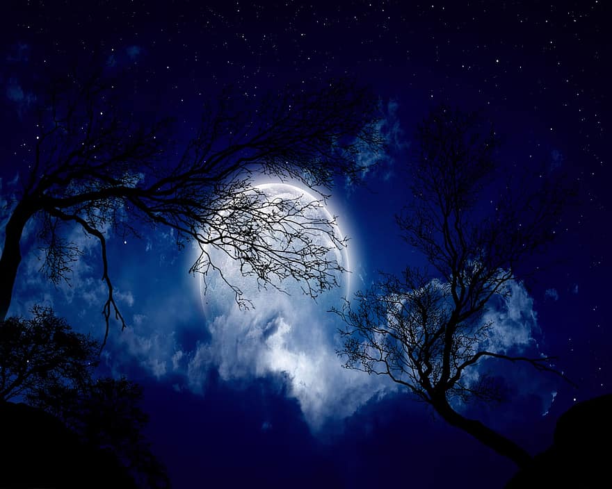 naktī, mēness, filiāles, krēslas, ainavu, siluets, tumšs, debesis, skatuves, atmosfērā, fantāzija