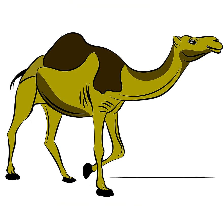 Kamel, Tier, Wüste, Natur, Tierwelt, wild, Säugetier, Zoo, Karikatur, Design, Urwald