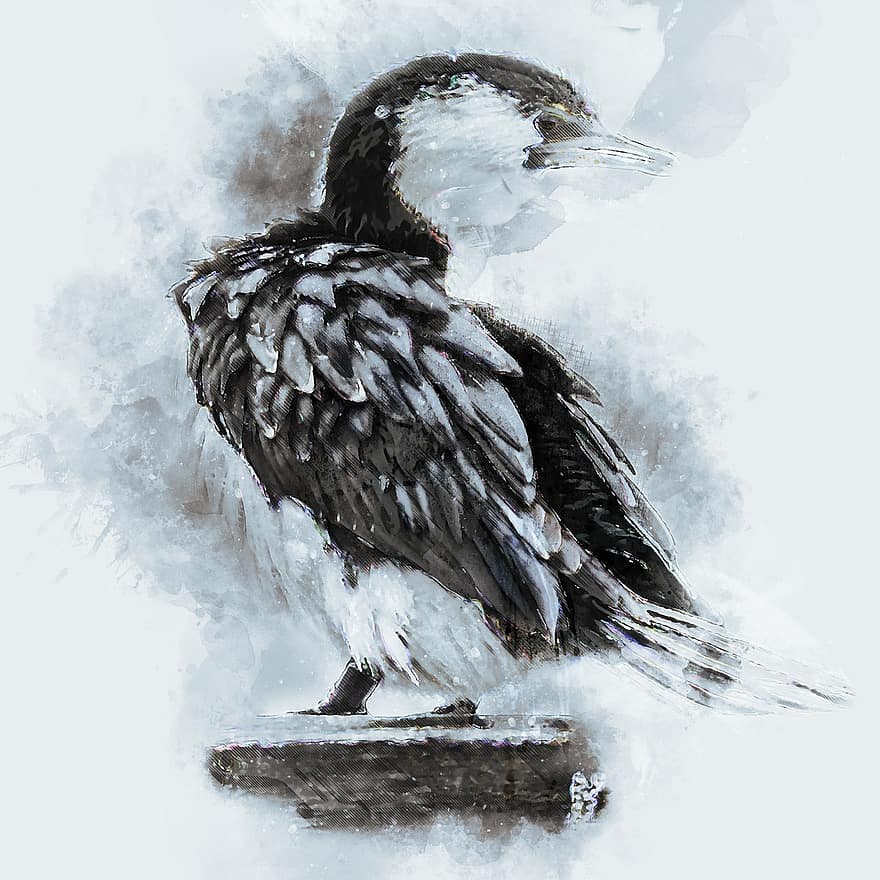 Animal, Avian, Bird, Outdoors, Perched, Plumage, Wildlife, Wing, Nature, Feathered, Digital Painting