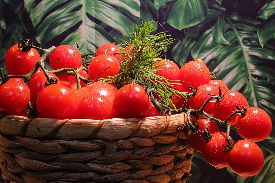 los tomates, rojo, vegetales, comida, comer, Fresco, cocinar, ensalada, sano, ingredientes, maduro
