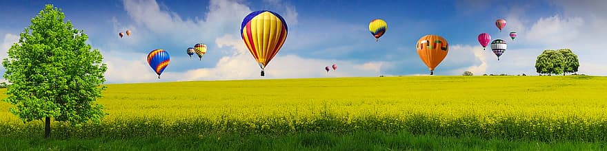 Rapsfeld, Heißluftballons, Raps, Hintergrund, Panorama, Natur, Heißluftballonfahrt, Freizeit, Abenteuer, Wiese, Sommer-