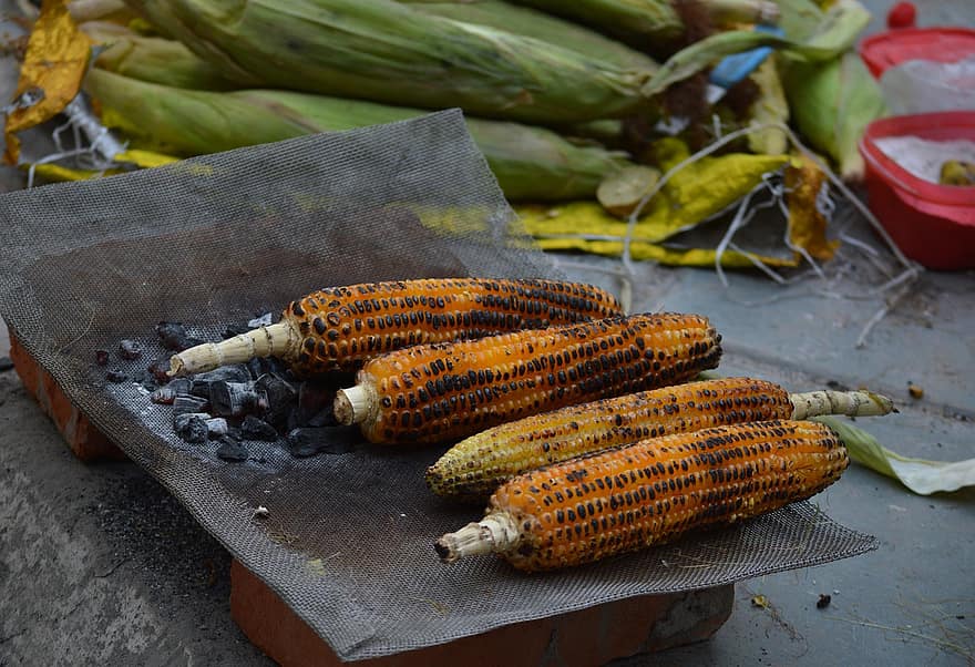 maíz, maíz a la parrilla, comida de la calle, maíz en la mazorca, India, verano, dorado