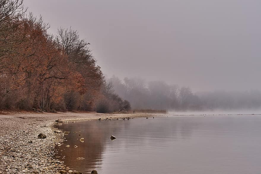 lago, spiaggia, alberi, nebbia, nebbioso, banca, chiemsee, Alta Baviera, autunno