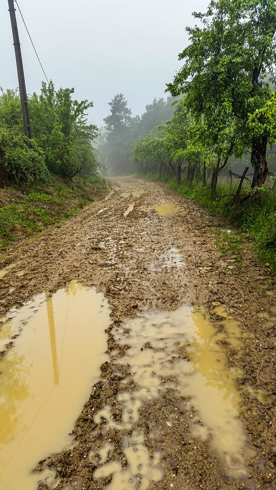 estrada de terra, lama, poça, estrada não pavimentada, estrada, agua, rural