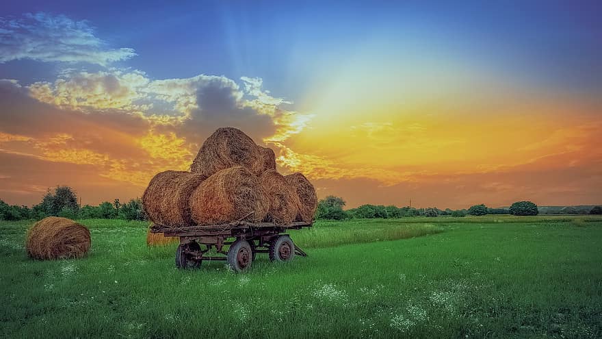 Sunset, Straw, Straw Bales, Evening, Chariot, Nature, Clouds