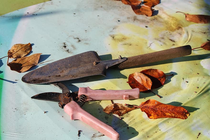 narzędzia ogrodnicze, nożyczki, nóż, przybory, jesień, liść, zbliżenie, metal, narzędzie pracy, łopata, drewno