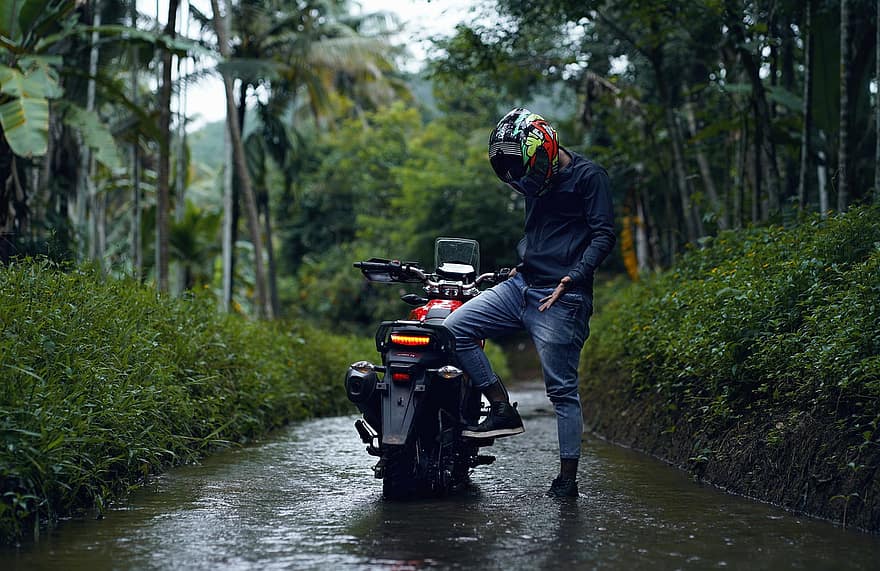 motociklu, motocikls, velosipēdu, raksturs, braucējs, nomākts, ceļš, mežs, koki, lietus, šķērslis