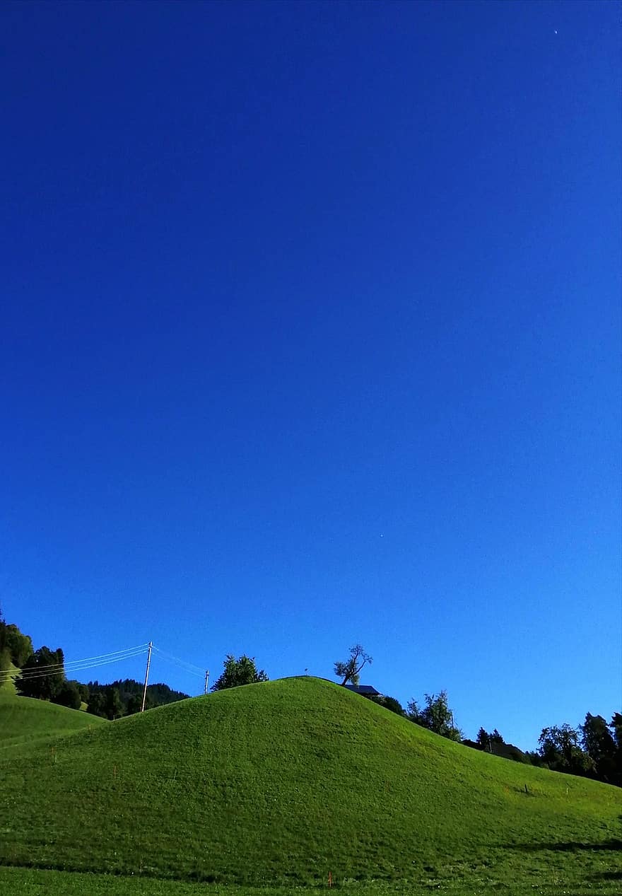 Hill, Nature, Outdoors, Trees, grass, blue, meadow, summer, rural scene, landscape, green color