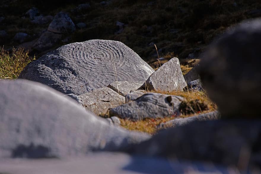 art rupestre, roques, arqueologia, Rupestre, naturalesa, Període Neolític, nova edat de pedra, Tirol del sud