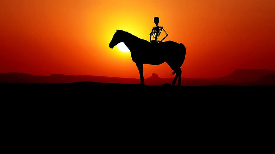 scheletro, cavallo, tramonto, silhouette, orrore, equino