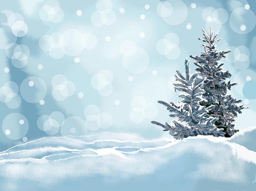 Pine, Tree, Snow, Snowflakes