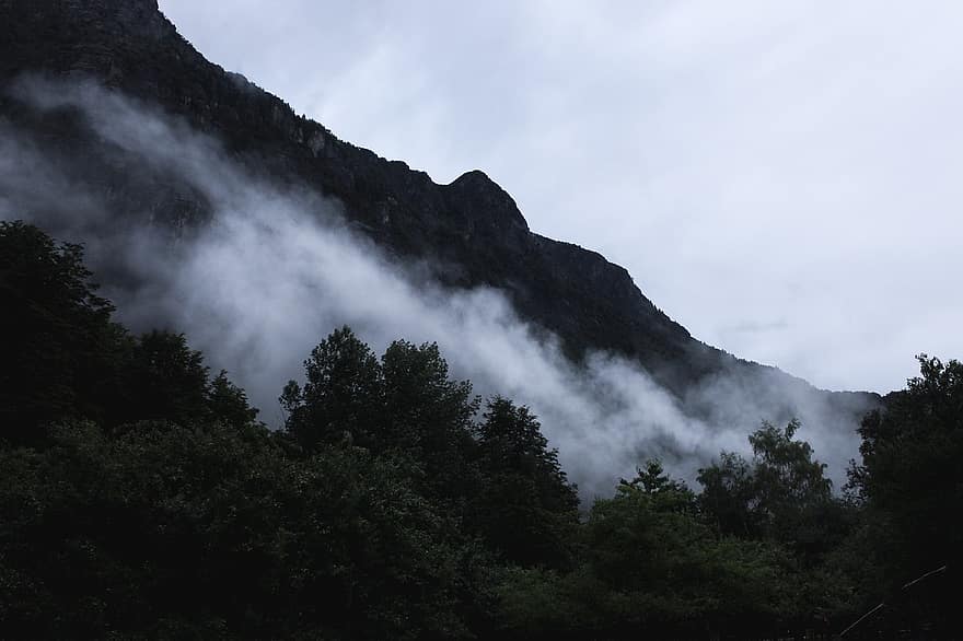 Moutains, Landscape, mountain, forest, mountain peak, tree, cloud, sky, mountain range, fog, summer