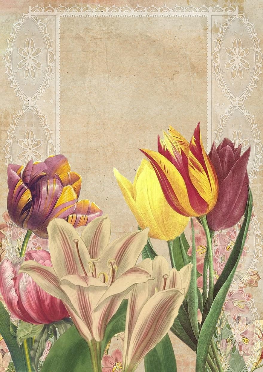 szüret, virág, Művészet, kollázs, tulipán, növénytani, pergament, papír, csipke, fehér, virágzás