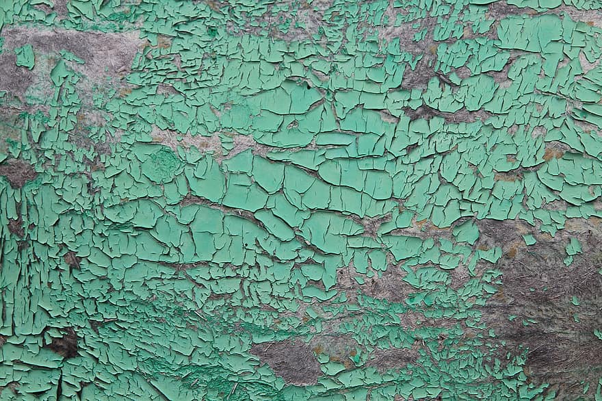 pared, madera, verde, fondo, textura, casa, árbol viejo