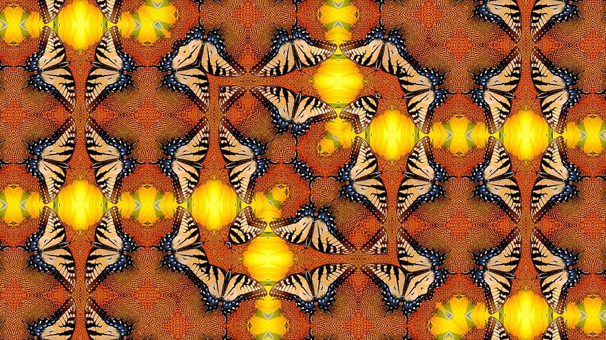 Dancing Butterfly, Kaleidoscope, Pattern, Ornament, Border, Decorative Ornament, Sacred Geometry, Mosaic, Stained-glass Window, Mirror, Symbol