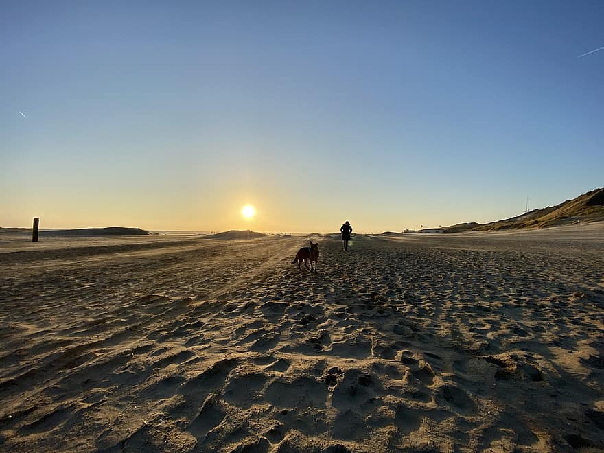 Strand, sand, hund, solnedgang, dyner, vinter