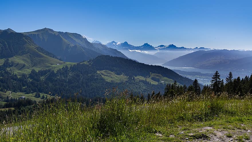 montañas, Valle, cerros, Suiza