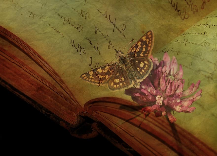 Texture, Background, Butterfly, Book Page, Font, Text, Book, Stationery, Greeting Card, Blossom, Bloom