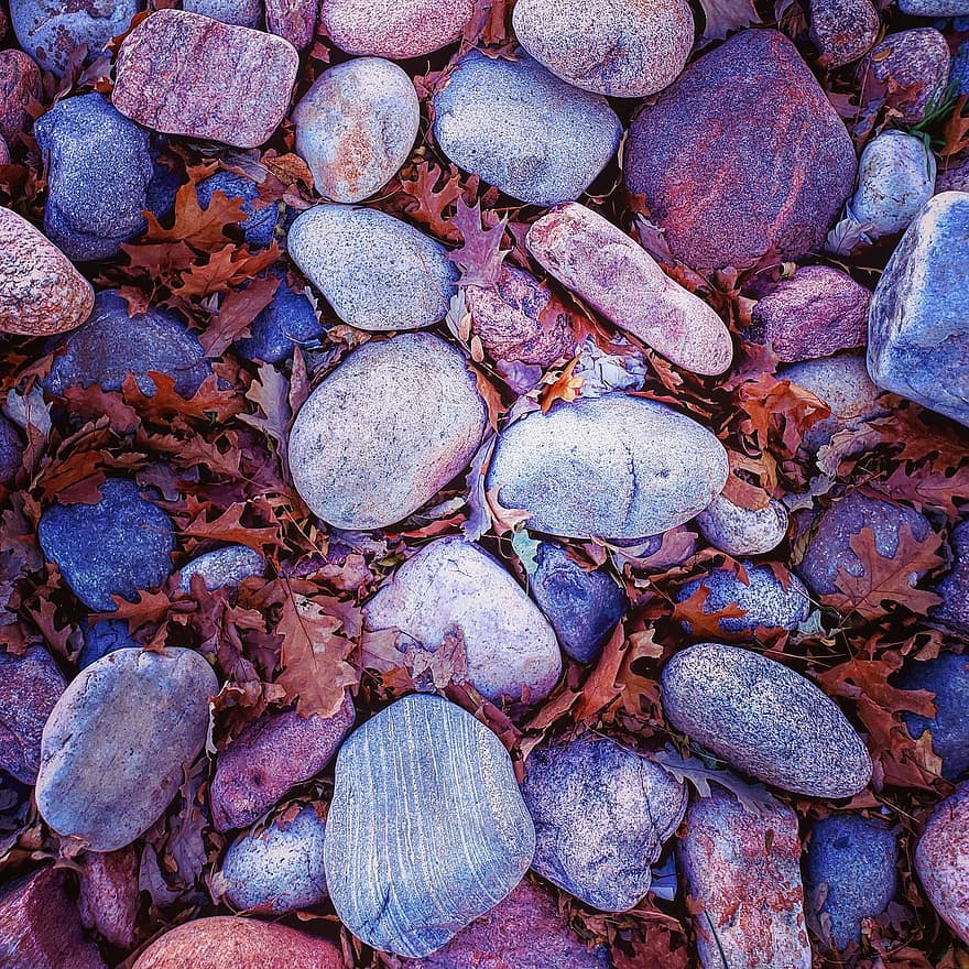 Leaves, Rocks, Stones, Pebbles, Fallen Leaves, Dried Leaves, Autumn Leaves, Fall Leaves, Fall, Texture, Wallpaper