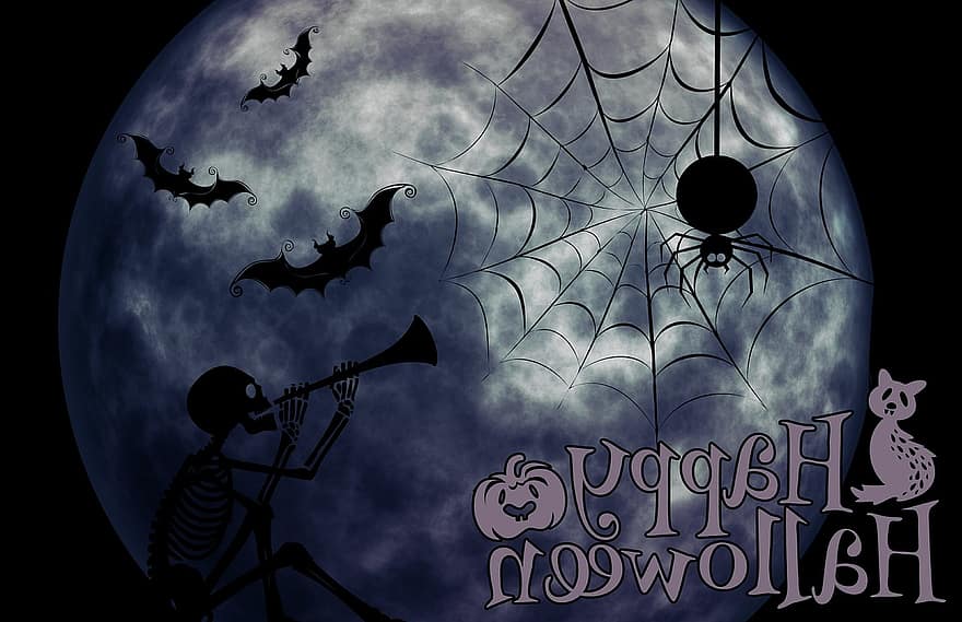 halloween, szkielet, kot, dziwne, surrealistyczny, atmosfera, przerażający, sylwetka