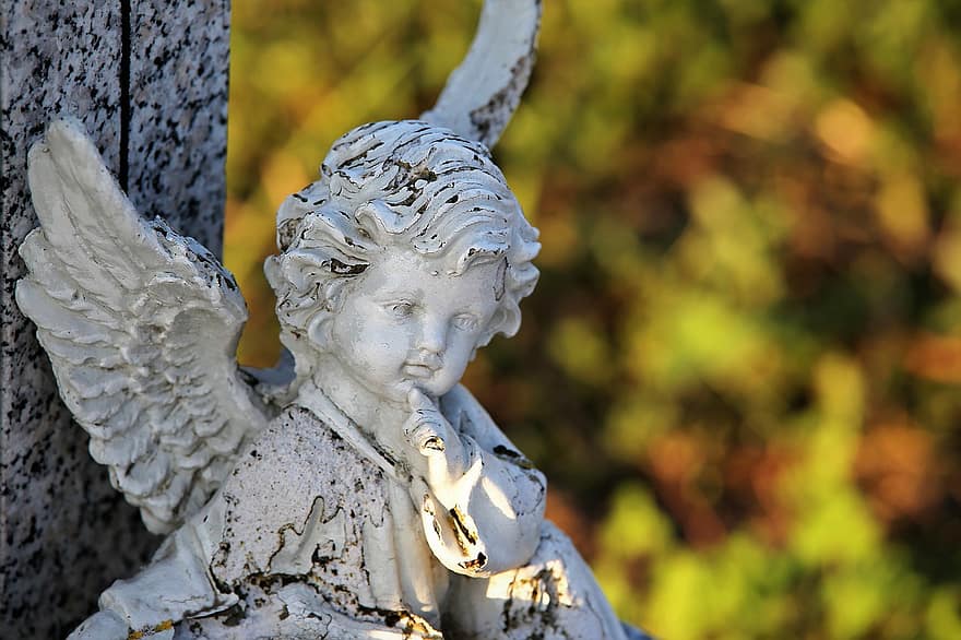 kamienny anioł, statua, postać, rzeźba, skrzydełka, dekoracja, miłość, pamięć, cmentarz, Natura