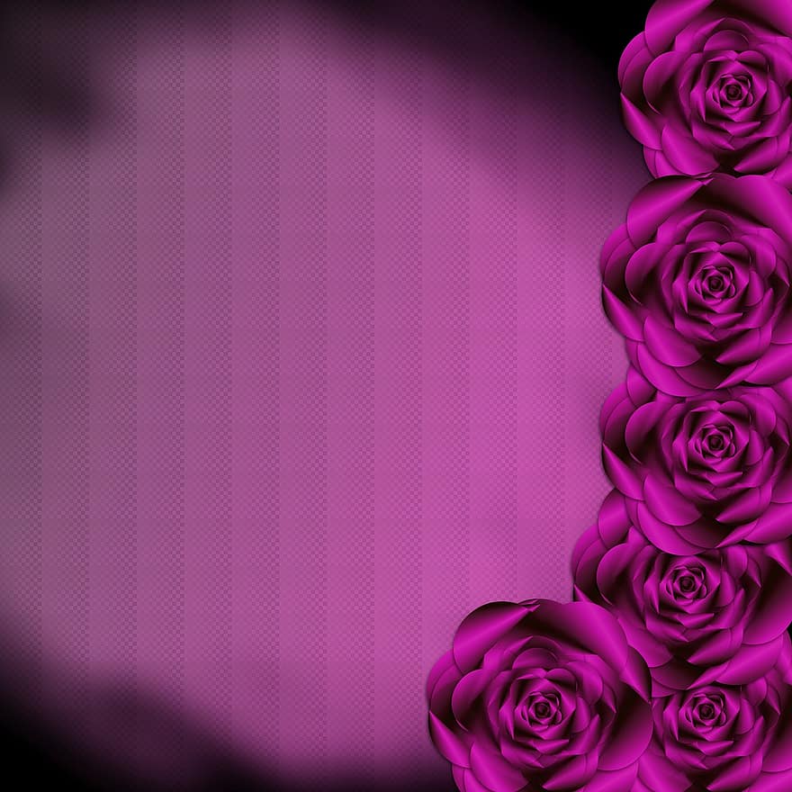 Rose, Flower, Pink, Summer, Design, Plant, Nature, Love, Bloom, Petal, Pattern