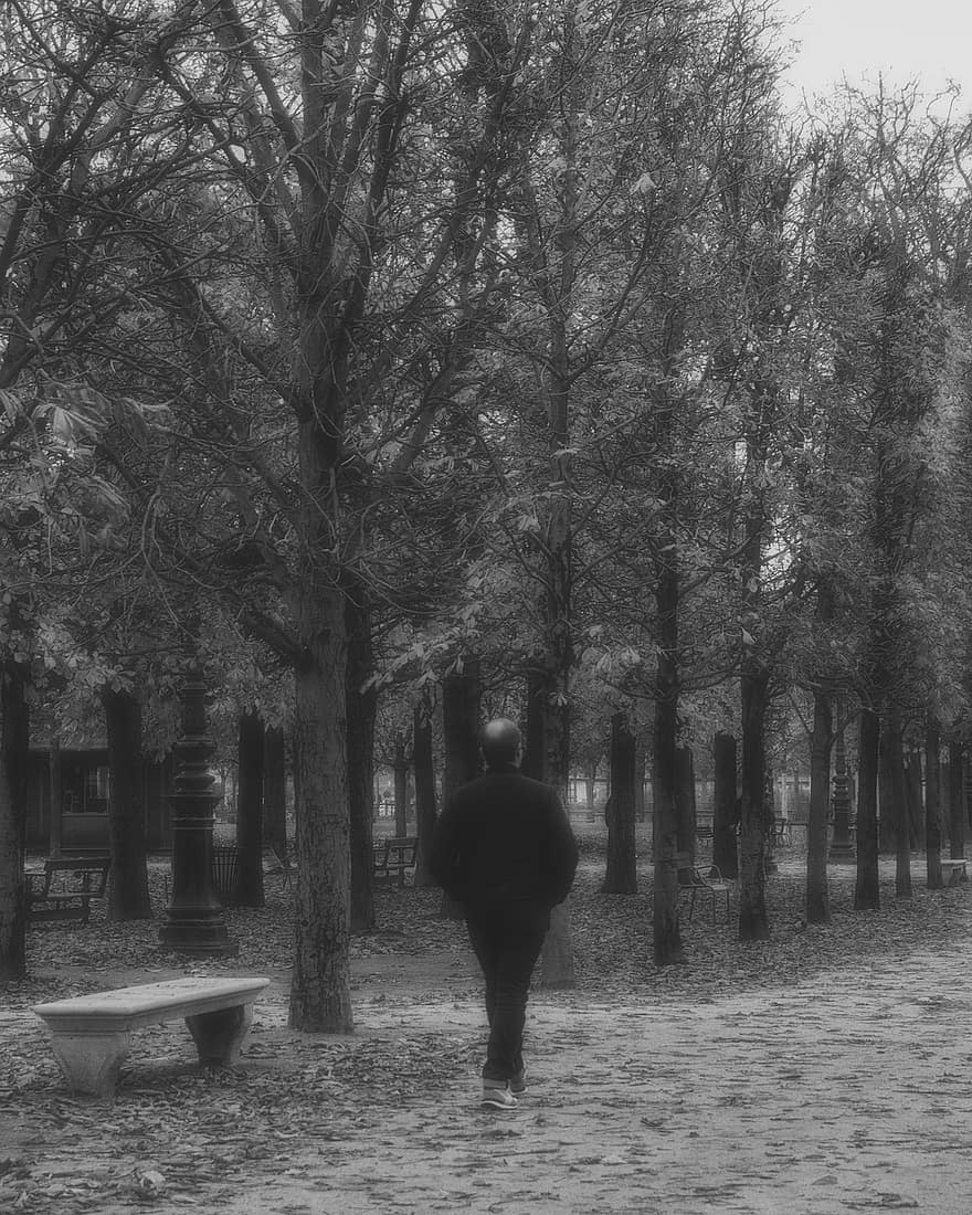 parque, hombre, para caminar, ocio, al aire libre, arboles, naturaleza, París, monocromo, tristeza, Europa