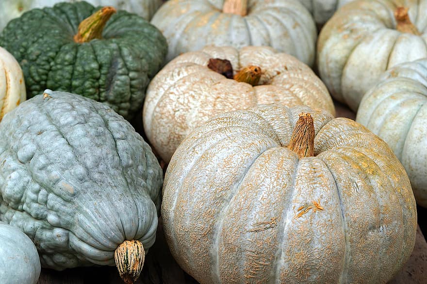 かぼちゃ、野菜、収穫、オーガニック、秋